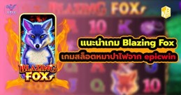 วิธีการเล่นเกมสล็อตBlazing FoxAP123